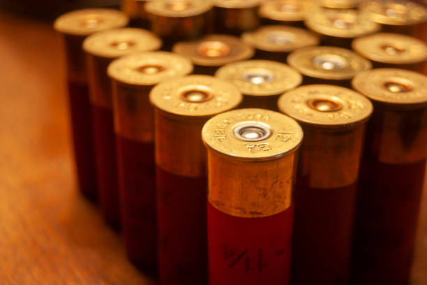 Quage Shells 344 Hunter Kemp Photos & High Res Pictures - Getty Images
