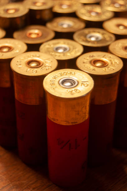 Quage Shells 344 Hunter Kemp Photos & High Res Pictures - Getty Images
