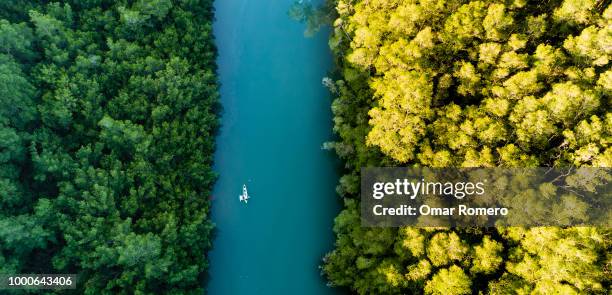 morning contrast! - costa rica aerial stock pictures, royalty-free photos & images