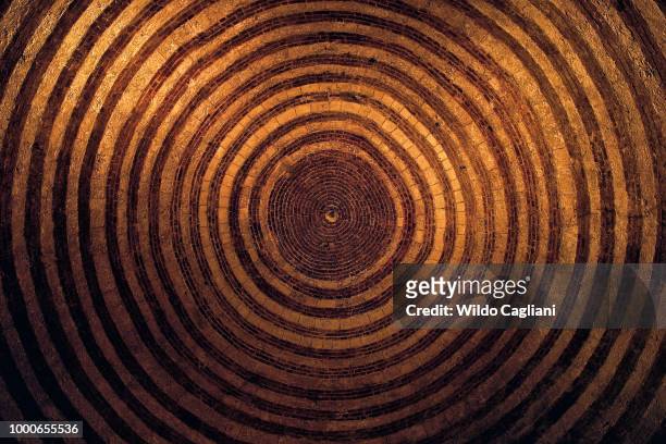 montesiepi dome - tree ring stock pictures, royalty-free photos & images