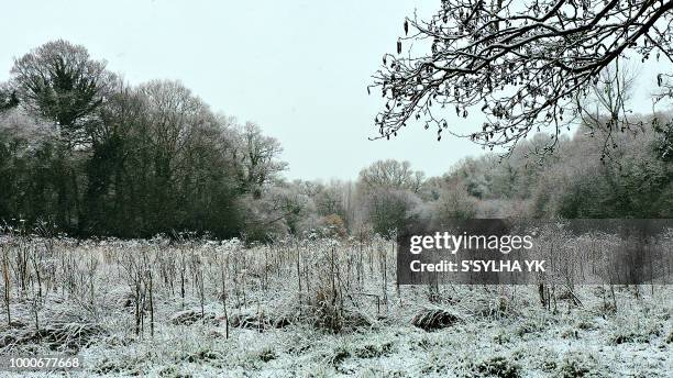 Callac Weather 63 Callac Stock Photos, High-Res Pictures, and Images - Getty Images