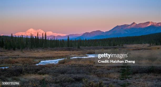 denali mountain in fall - fairbanks stock pictures, royalty-free photos & images