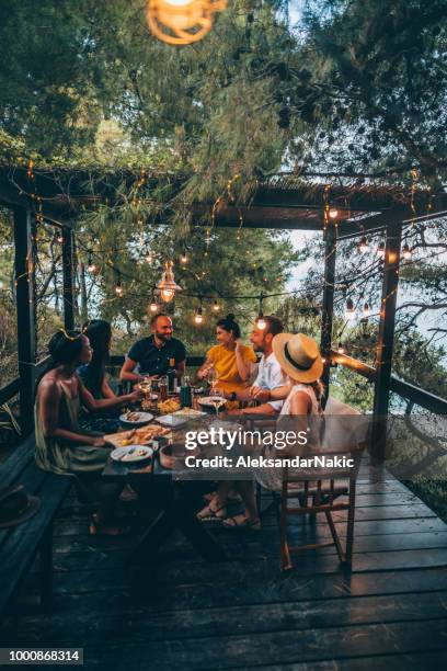 summer dinner party - summer resort imagens e fotografias de stock