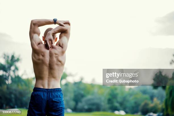 homme torse nu, étirements avant d’exécuter dans un parc - muscle humain photos et images de collection