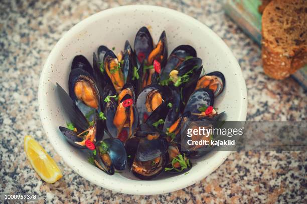 vers gestoomde mosselen schotel - mussels stockfoto's en -beelden