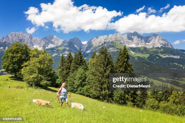 frau zu fuß mit ihrem hund im kaisergebirge - ellmau stock-fotos und bilder