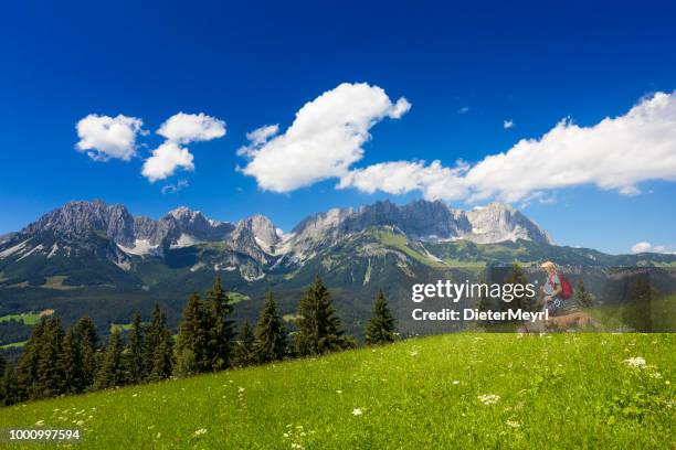 frau zu fuß mit ihrem hund im kaisergebirge - ellmau stock-fotos und bilder