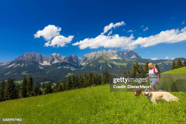 frau zu fuß mit ihrem hund im kaisergebirge - wilder kaiser stock-fotos und bilder