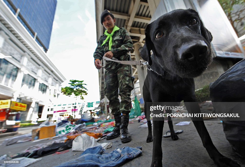 A snifer dog checks security at anti-gov