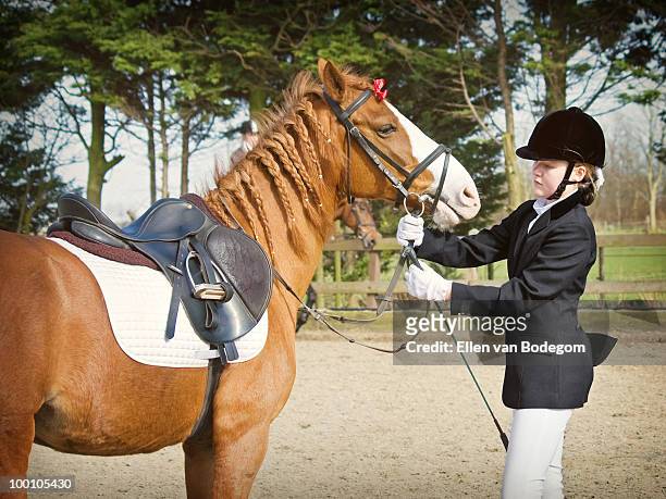 a girl and her horse - dressage stock pictures, royalty-free photos & images