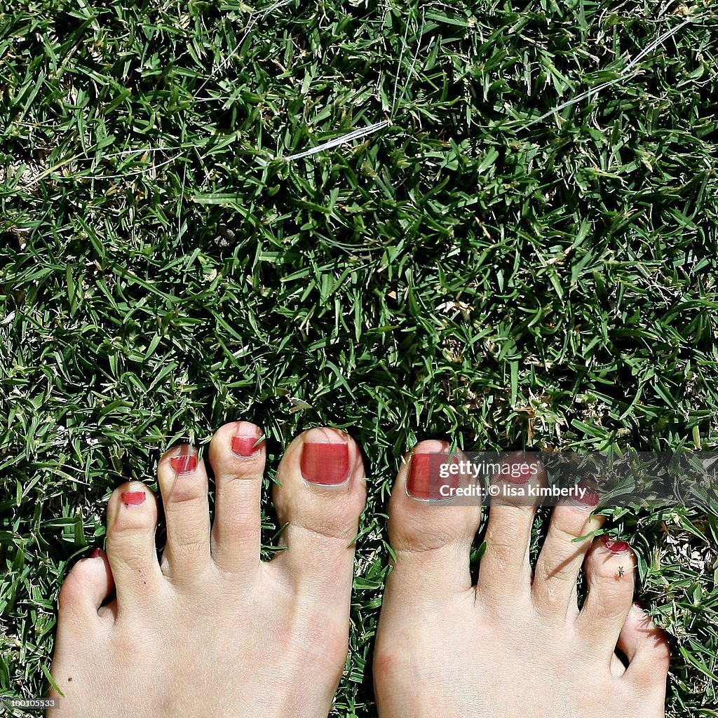 Woman's Feet in Green Grass