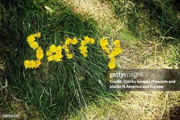 sorry - im sorry stock pictures, royalty-free photos & images