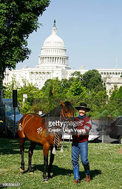 Former wild mustang attends a Celebration of America's Heritage at the National Museum of the American Indian on May 20, 2010 in Washington, DC.