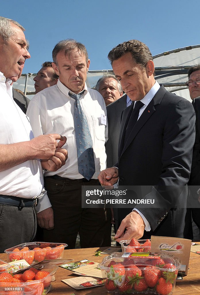 French President Nicolas Sarkozy (R) lis