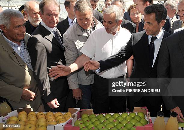 French President Nicolas Sarkozy looks at the apple production of local farmer Philippe Blouin , on May 21, 2010 in Bouglon, southwestern France,...