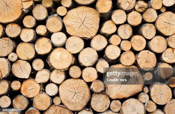 pile of wood - leña fotografías e imágenes de stock