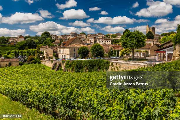 panorama of saint emilion, with a beautiful sky. bordeaux, france - bordeaux wine - fotografias e filmes do acervo