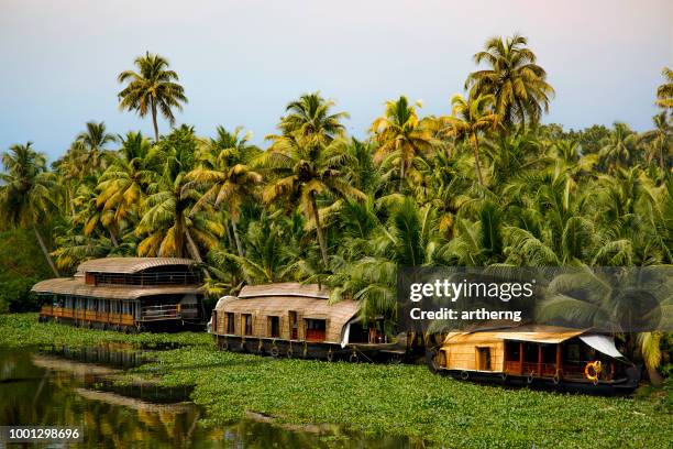 houseboats on vembanad lake, kerala, india - ケララ州 ストックフォトと画像