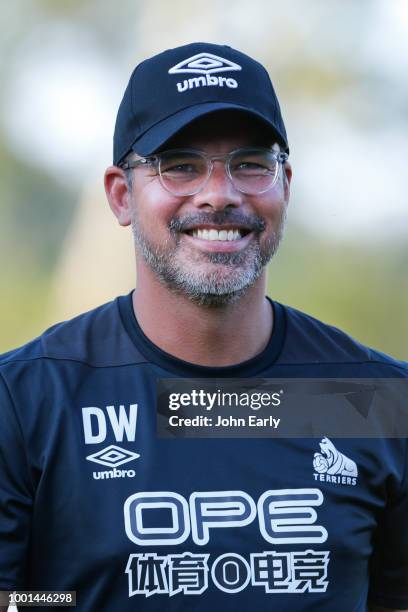 David Wagner the manager of Huddersfield Town during the pre-season friendly between Dynamo Dresen and Hiddersfield Town at Stadion Sommerdamm in...