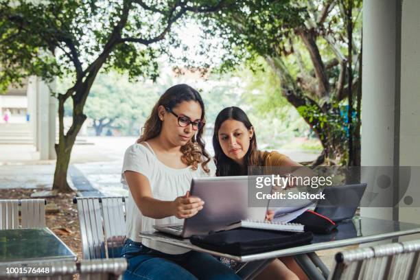 zwei spanische studentinnen, zusammenarbeit, sie sitzen, arbeiten im freien auf laptops - valle del cauca stock-fotos und bilder