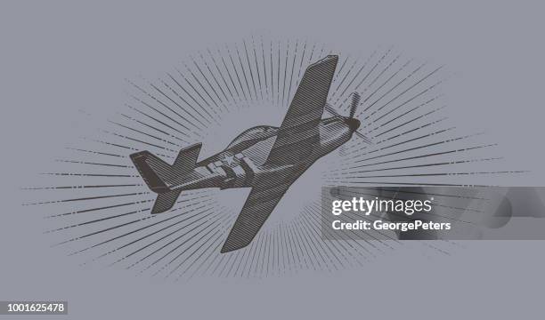 104 P 51 Mustang High Res Illustrations - Getty Images