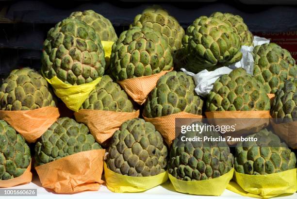 custard apple fruit (fruta-do-conde) - annona cherimola stock pictures, royalty-free photos & images