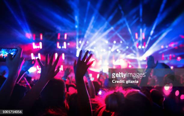 gran grupo de fans en un concierto. - ovación de pie fotografías e imágenes de stock