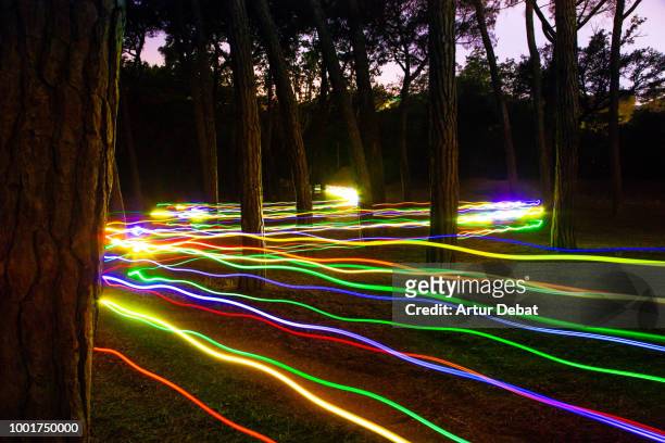 motion of colorful trail lights between trees. - rainbow forrest abstract bildbanksfoton och bilder