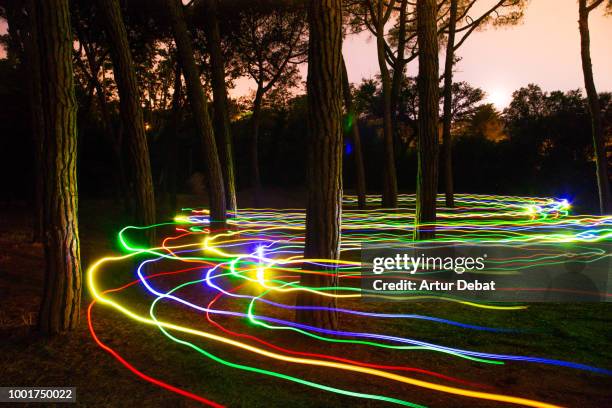 motion of colorful trail lights between trees. - rainbow forrest abstract bildbanksfoton och bilder