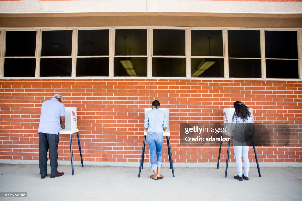People Voting in a Government Election