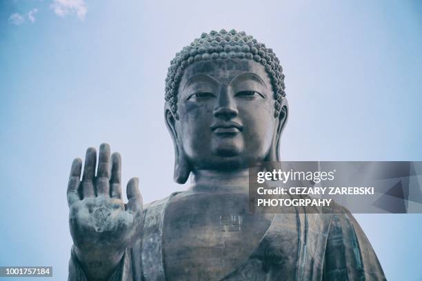 the big buddha statue lantau hong kong - tian tan buddha foto e immagini stock