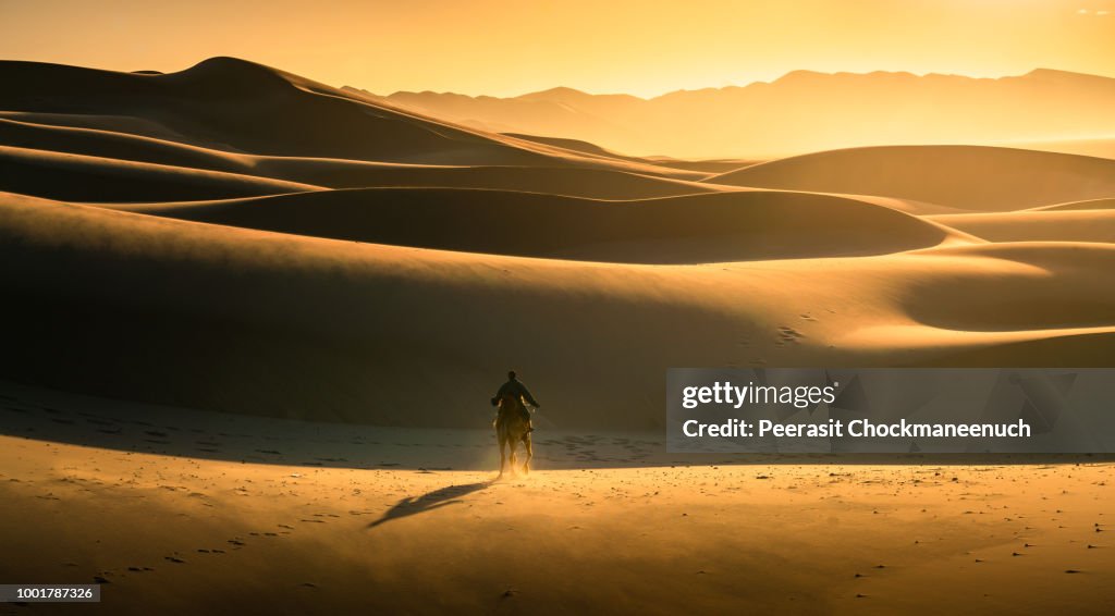 Gobi desert in Mongolia