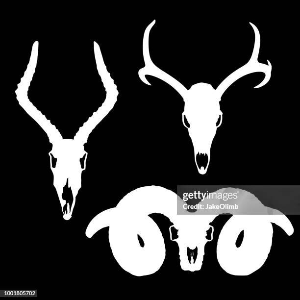 animal skulls silhouettes - deer skull stock illustrations