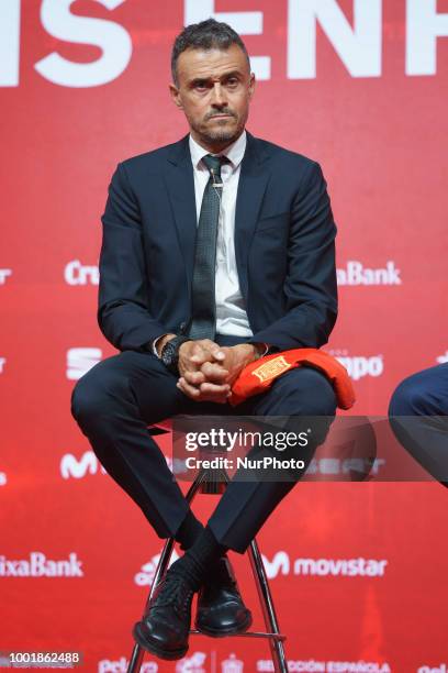 Spain new coach Luis Enrique talks to the press during his official presentation as Spain's national football team new coach on July 19, 2018 at Las...