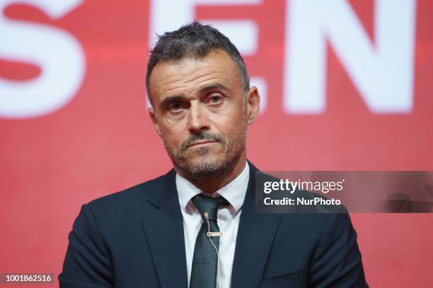 Spain new coach Luis Enrique talks to the press during his official presentation as Spain's national football team new coach on July 19, 2018 at Las...