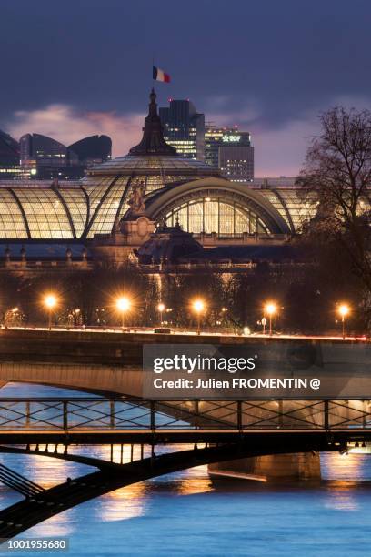 grand palais & pont des arts, paris - grand palais photos et images de collection