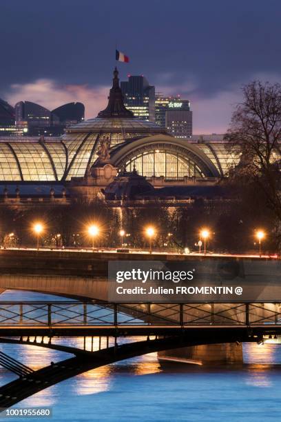 grand palais & pont des arts, paris - bridge architecture up close night stock pictures, royalty-free photos & images