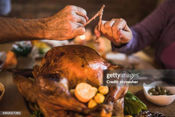 close up of unrecognizable couple pulling wishbone on thanksgiving dinner. - wishbone stock pictures, royalty-free photos & images