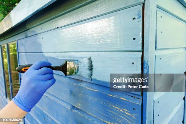 painting shed blue - holz streichen stock-fotos und bilder