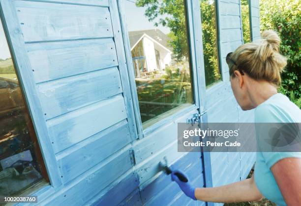 woman painting shed blue - she sheds stock pictures, royalty-free photos & images