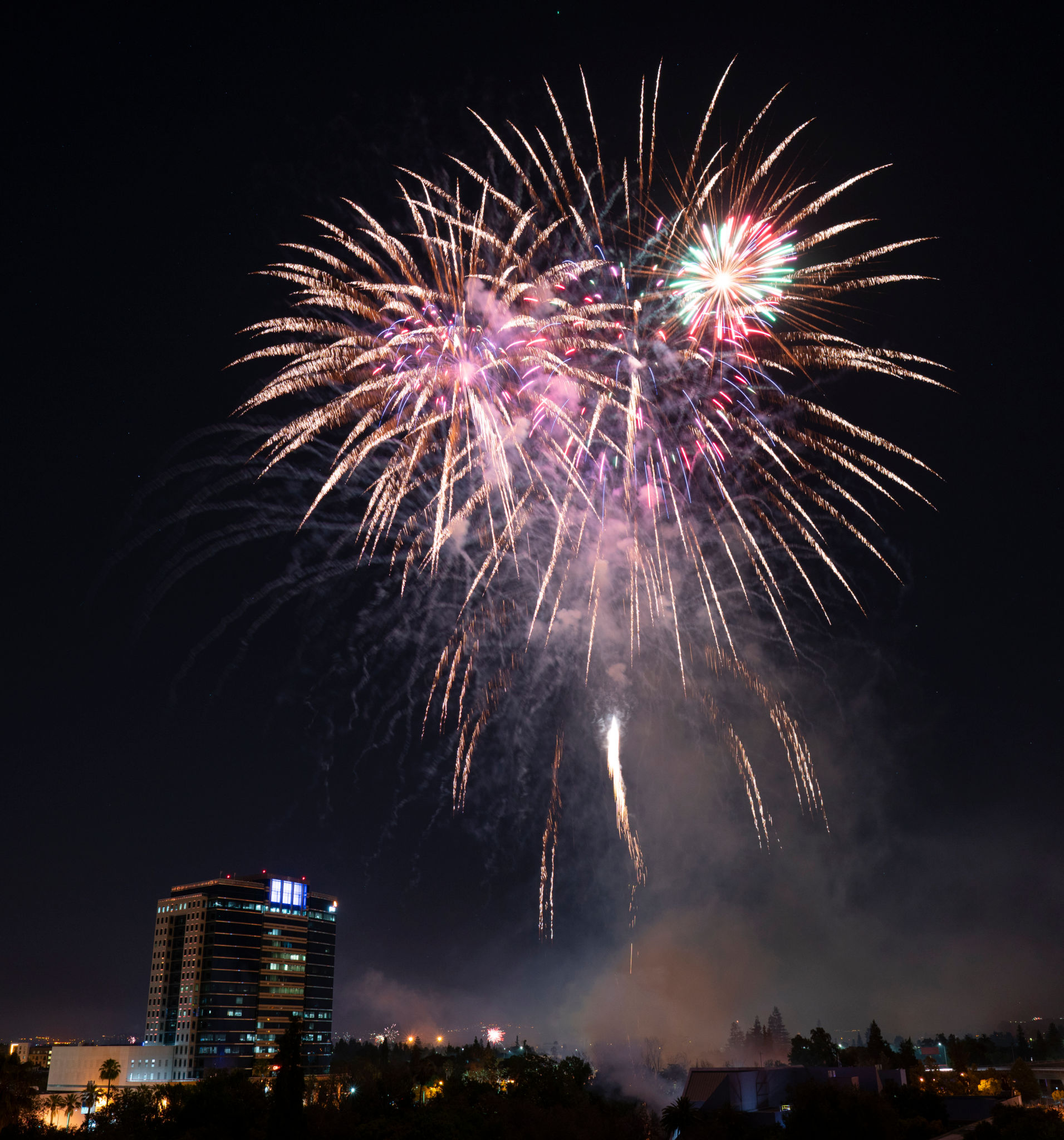 san jose festival