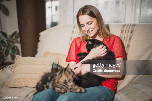 la giovane donna si diverte a passare del tempo con i suoi gatti a casa - due animali foto e immagini stock