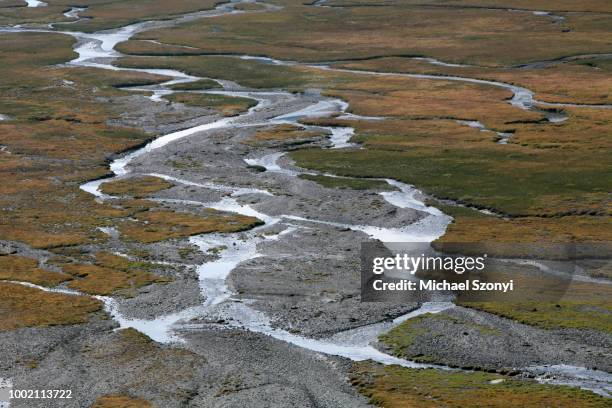 flood plain with a meandering glacial river in the unesco world natural heritage site, glarus thrust, swiss tectonic arena sardona, segnesboden, flims, graubuenden, switzerland - tektonik stock-fotos und bilder