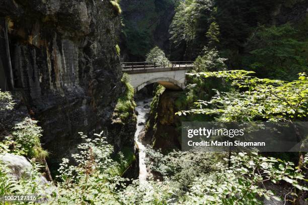 schaufelschlucht gorge between dornbirn and ebnit, bregenz forest, vorarlberg, austria - vorarlberg imagens e fotografias de stock