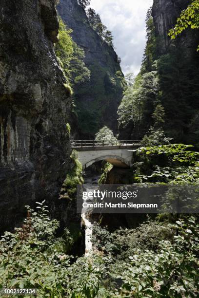 schaufelschlucht gorge between dornbirn and ebnit, bregenz forest, vorarlberg, austria - abyss stock-fotos und bilder