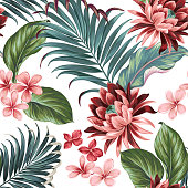 Vector botanic exotic design with large lotus, palms, frangipani, elephat ears.