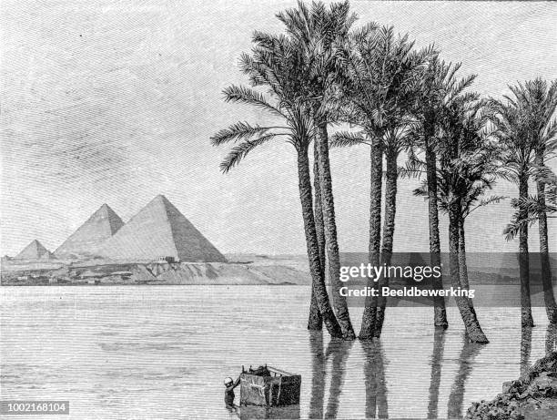 giza pyramids egypt in 1895 - river nile stock illustrations