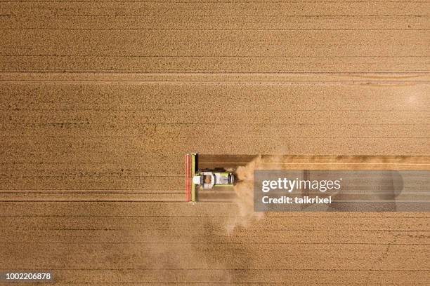 harvester ernten weizen auf einem feld, thüringen, deutschland - mähdrescher stock-fotos und bilder