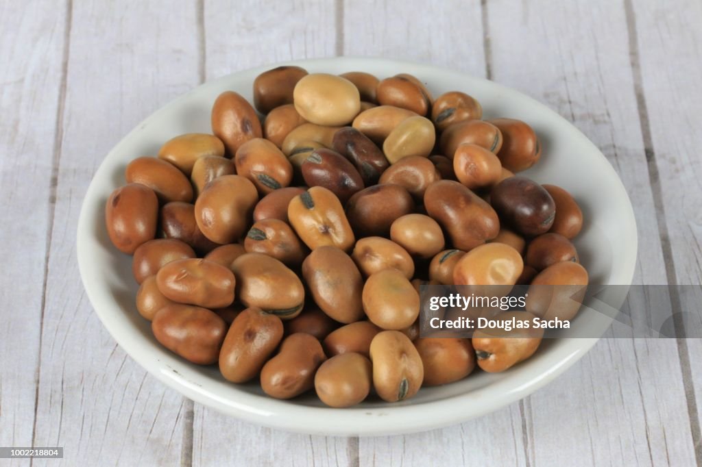 Dish of Fava Beans (Vicia faba)