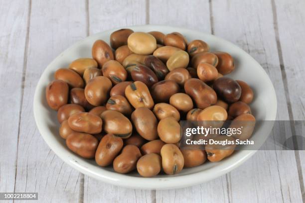 dish of fava beans (vicia faba) - fava bean stock pictures, royalty-free photos & images